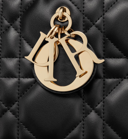 Large Dior Book Tote